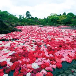 Yushien Garden - Matsue