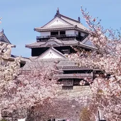 Matsuyama Castle - Matsuyama