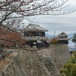 Matsuyama Castle - Matsuyama