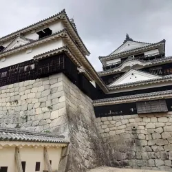 Matsuyama Castle - Matsuyama