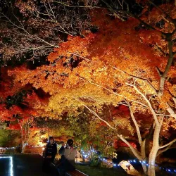Ninomaru Historical Garden - Matsuyama
