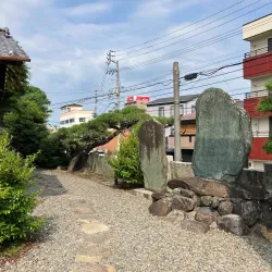 Taga Shrine - Matsuyama