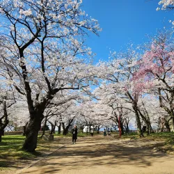 Morioka Castle Ruins (Iwate Park) - Morioka