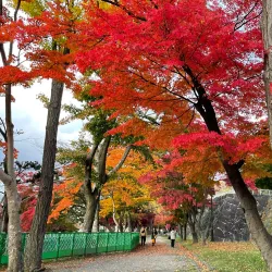 Morioka Castle Ruins (Iwate Park) - Morioka