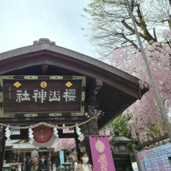Morioka Castle Ruins (Iwate Park) - Morioka