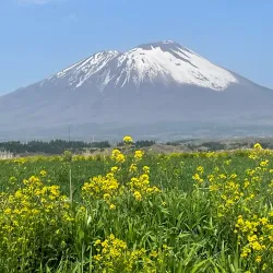 Mount Iwate - Morioka