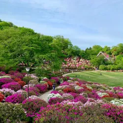 Nishiyama Park - Muroran