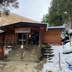 Jigokudani Monkey Park - Nagano