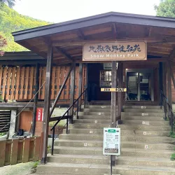 Jigokudani Monkey Park - Nagano