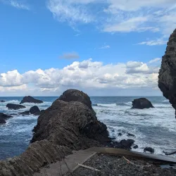 Snow Monkey Resorts and Ski Areas - Nagano