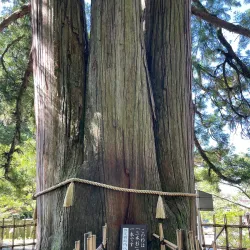 Togakushi Shrine - Nagano