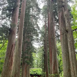 Togakushi Shrine - Nagano