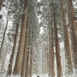 Togakushi Shrine - Nagano