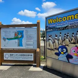 Nagasaki Penguin Aquarium - Nagasaki