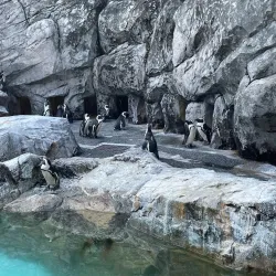 Nagasaki Penguin Aquarium - Nagasaki