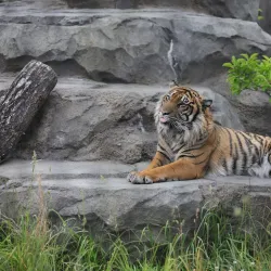 Higashiyama Zoo and Botanical Gardens - Nagoya