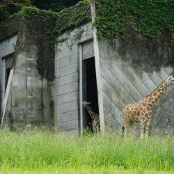 Higashiyama Zoo and Botanical Gardens - Nagoya