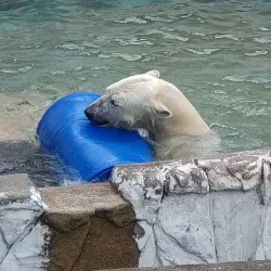 Higashiyama Zoo and Botanical Gardens - Nagoya