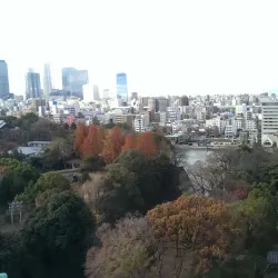 Nagoya Castle - Nagoya