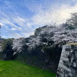 Nagoya Castle - Nagoya