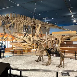 Nagoya City Science Museum - Nagoya