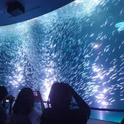 Nagoya Port Aquarium - Nagoya