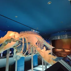 Nagoya Port Aquarium - Nagoya