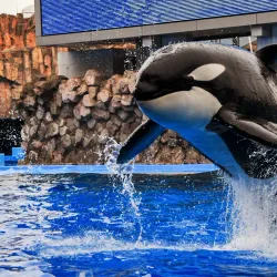 Nagoya Port Aquarium - Nagoya