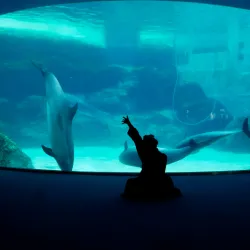 Nagoya Port Aquarium - Nagoya