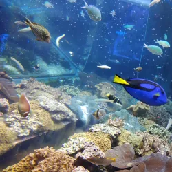 Nagoya Port Aquarium - Nagoya