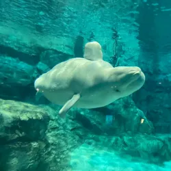 Nagoya Port Aquarium - Nagoya