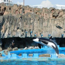 Nagoya Port Aquarium - Nagoya