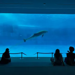 Nagoya Port Aquarium - Nagoya