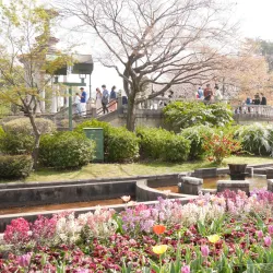 Tsuruma Park - Nagoya