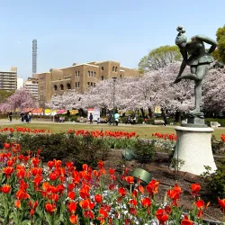 Tsuruma Park - Nagoya