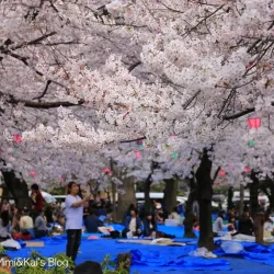 Tsuruma Park - Nagoya