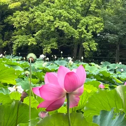Tsuruma Park - Nagoya