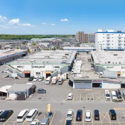 Narita Wholesale Market - Narita