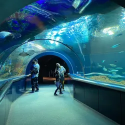 Niigata City Aquarium Marinepia Nihonkai - Niigata