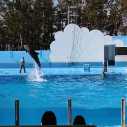 Niigata City Aquarium Marinepia Nihonkai - Niigata