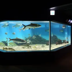 Niigata City Aquarium Marinepia Nihonkai - Niigata