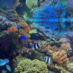 Niigata City Aquarium Marinepia Nihonkai - Niigata