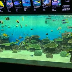 Niigata City Aquarium Marinepia Nihonkai - Niigata