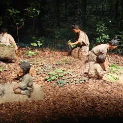 Niigata Prefectural Museum of History - Niigata