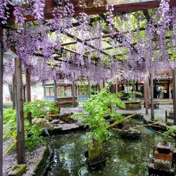 Northern Culture Museum - Niigata