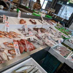 Pia Bandai - Niigata