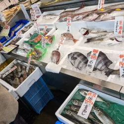 Pia Bandai - Niigata