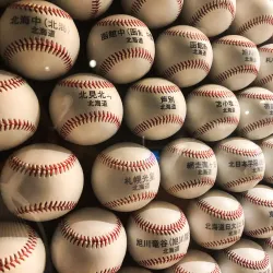 Hanshin Koshien Stadium Museum - Nishinomiya