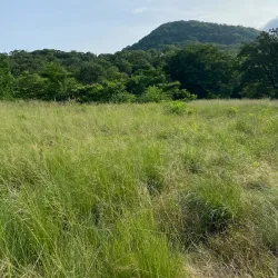 Mount Kabuto - Nishinomiya