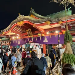 Nishinomiya Shrine - Nishinomiya